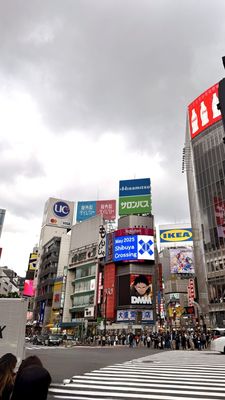 Shibuya Crossing by null