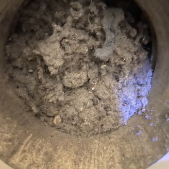 Big Dawg Cleaning Services - Completely clogged dryer vent - Air Duct Cleaning Near Me Big Dawg Cleaning Services - Completely clogged dryer vent - Air Duct Cleaning Near Me