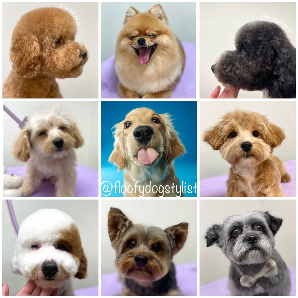 ALEESIA CHOW Updated August 2024 3033 Grandview Highway, Vancouver