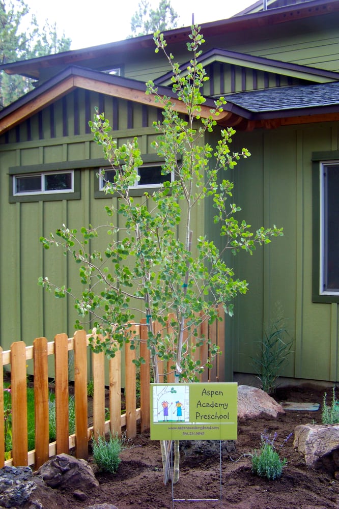 Aspen Academy - childcare center in Bend, OR