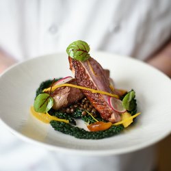 Hart's Kitchen - Seasonal local produce