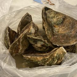 Gandy Seafood Cajun Market Murfreesboro - Oysters