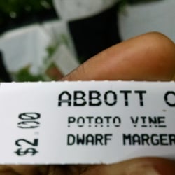 Abbott Creek Nursery - Can't beat this price!