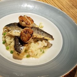 Riverside At Branston - Sea bass