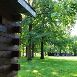 4-H Memorial Camp - Good views everywhere of them big trees