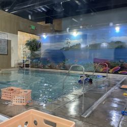 Simi Valley Aquatics - Awesome pool and viewing area