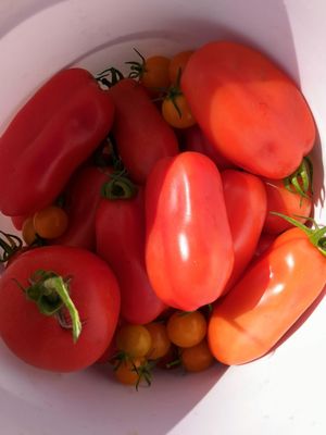 Beilke Family Farm by null