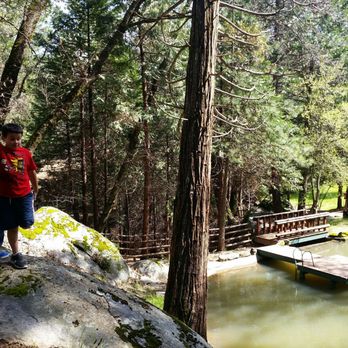 Lazy Z Resort - Resorts Near Me - Twain Harte, California