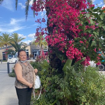 Canvas - Pretty plants - New American Near Me - Orlando, Florida Canvas - Pretty plants - New American Near Me - Orlando, Florida