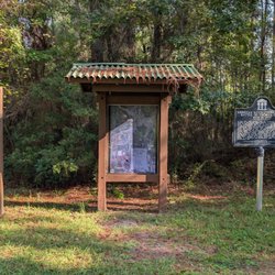 Information, rules, and history