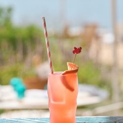 Eddie's - PALOMA |
tequila, grapefruit juice, fresh lime, aperitif, soda