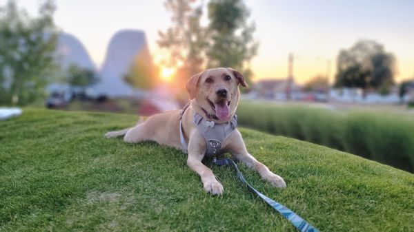 Eileen and Allen Anes Studio Theatre