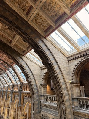 Natural History Museum by null
