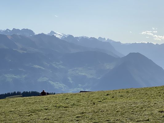 Rigi by null