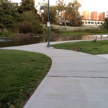 Polliwog Park - Parks Near Me - Manhattan Beach, California Polliwog Park - Parks Near Me - Manhattan Beach, California