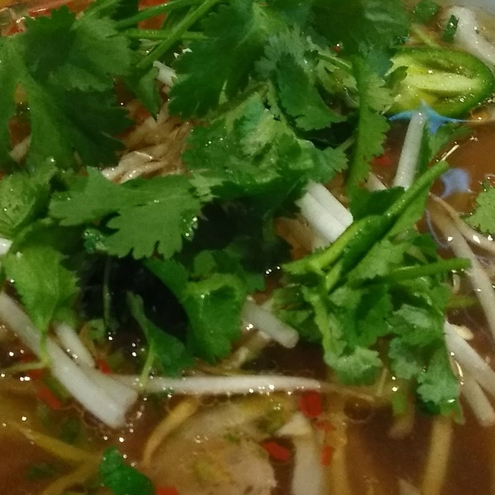 Linh's Bistro - Nothing better than warm soup on a cold day - Vietnamese Near Me - Dayton, Ohio Linh's Bistro - Nothing better than warm soup on a cold day - Vietnamese Near Me - Dayton, Ohio