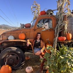 Andreotti Family Farms - Photo ops pumpkin patch