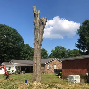 D&T Tree Service - Finishing up the take down. - Tree Services Near Me D&T Tree Service - Finishing up the take down. - Tree Services Near Me