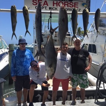 Sea Horse Charters - Our catch from a day out with Sea Horse Charters - Fishing Near Me - Islamorada, Florida Sea Horse Charters - Our catch from a day out with Sea Horse Charters - Fishing Near Me - Islamorada, Florida