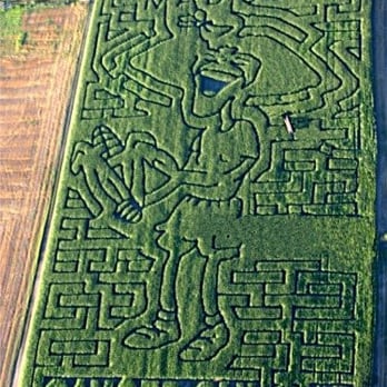Schuster's Farm - Pumpkin Patches Near Me - Deerfield, Wisconsin