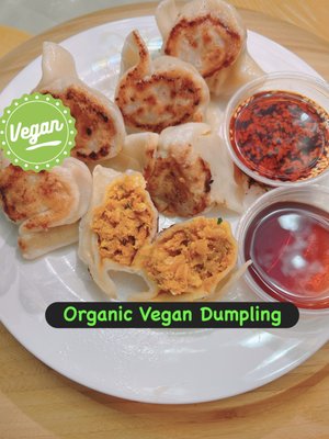 Dumpling The Noodle by null