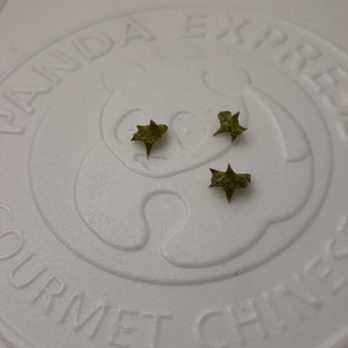 Panda Express - Green thorny substance in fried rice on 12/14/2019 - Chinese Near Me - Decatur, Alabama Panda Express - Green thorny substance in fried rice on 12/14/2019 - Chinese Near Me - Decatur, Alabama