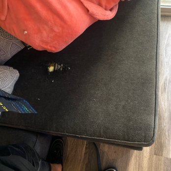 Lorenzo's Dog Training Team - 6/30/21 new holes in couch after paying Lorenzos dog training $4,000. Unreal ... - Pet Training Near Me - Garfield Heights, Ohio Lorenzo's Dog Training Team - 6/30/21 new holes in couch after paying Lorenzos dog training $4,000. Unreal ... - Pet Training Near Me - Garfield Heights, Ohio