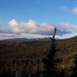 Diamond Lake Corrals