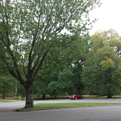 Monte Irvin Orange Park - View of parking lot