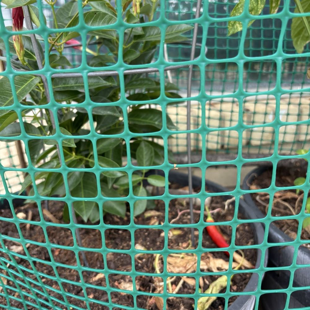 Peppers Peppers