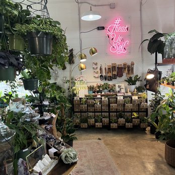 Dandy Lion Coffee - Coffee & Tea Near Me - Denver, Colorado Dandy Lion Coffee - Coffee & Tea Near Me - Denver, Colorado