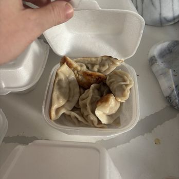 WanFu Cafe - A7. Homemade Chicken Dumpling - Chinese Near Me - Houston, Texas