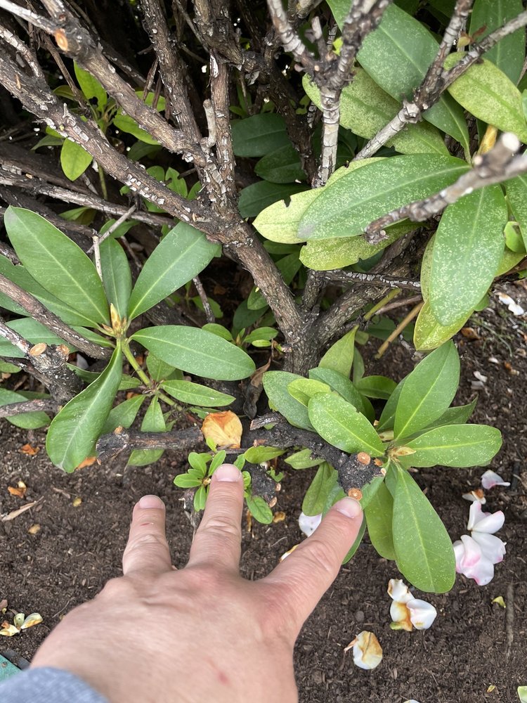 Slide of Northwest Backflow Inspection and Testing Services