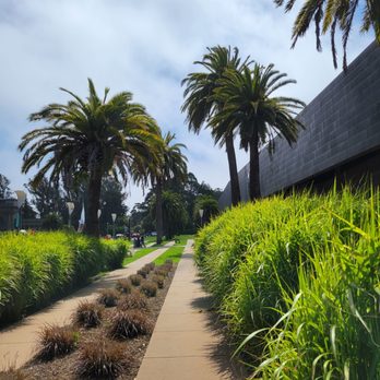 de Young Museum - Art Museums Near Me - San Francisco, California de Young Museum - Art Museums Near Me - San Francisco, California