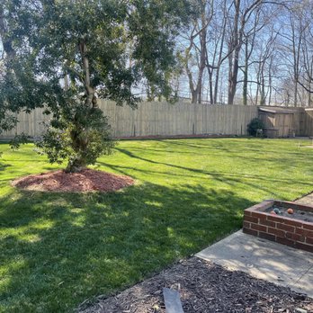 Green Clippings - a back yard with a fence and a tree - Lawn Services Near Me Green Clippings - a back yard with a fence and a tree - Lawn Services Near Me