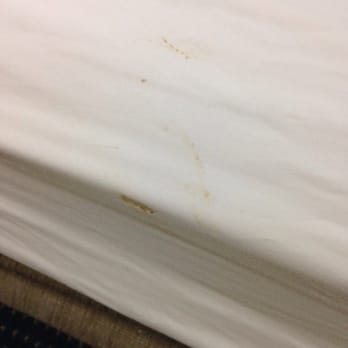 Best Western Desert Oasis - Stains on sheets - Hotels Near Me - Ehrenberg, Arizona Best Western Desert Oasis - Stains on sheets - Hotels Near Me - Ehrenberg, Arizona