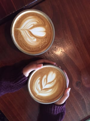 Highwire Coffee Roasters by null