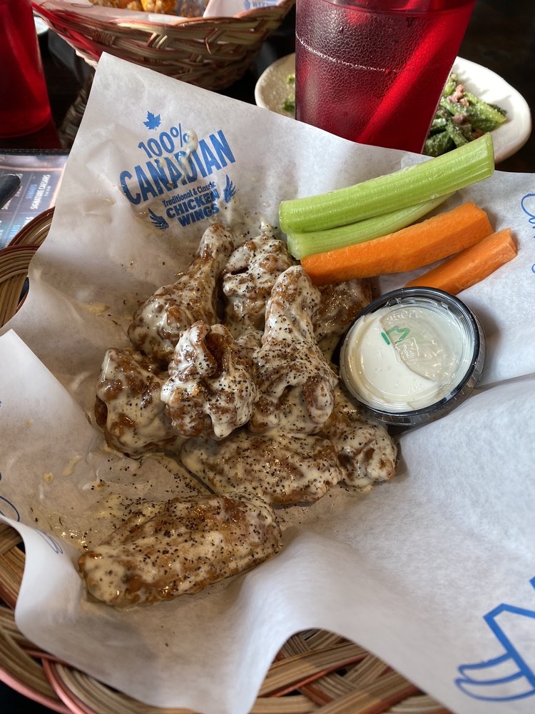 Wild Wings Logo