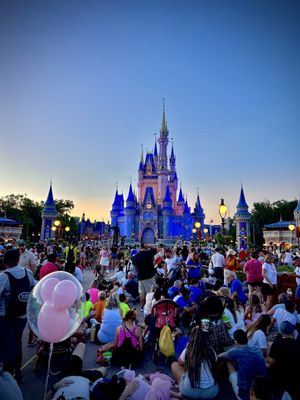 Magic Kingdom Park by null
