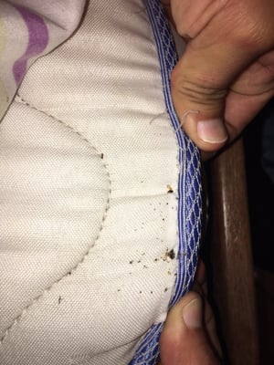 Books Hostel by null