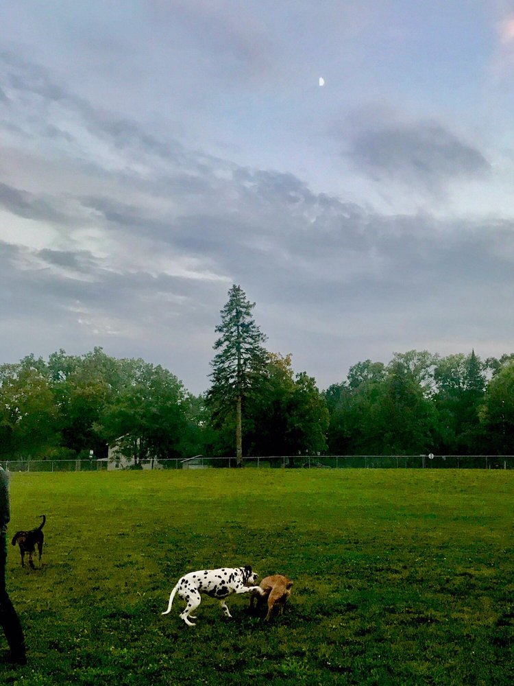 William Grace Dog Park