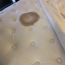 When the mattress cover was lifted