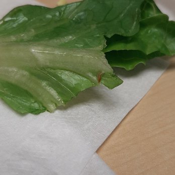 The Grille - Another bug on the unwashed lettuce. - American Near Me