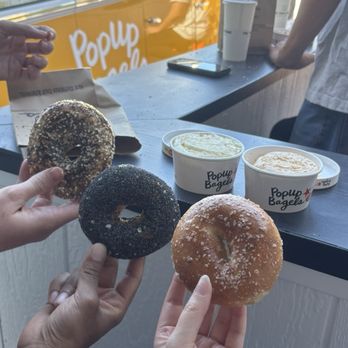 PopUp Bagels - Everything, poppy, and salt bagel - Bagels Near Me - La Jolla, California