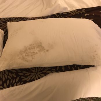 Black Mold On The Pillows In Our Room Yelp