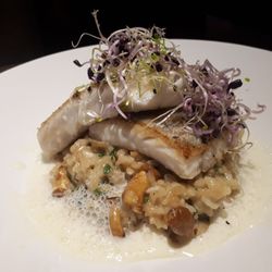 Em Ahle Kohberg - Zander mit Pfifferlingsrisotto und Pernodschaum