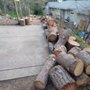 Photo of Stumpy Tree Care