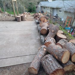 Stumpy Tree Care - Great job!