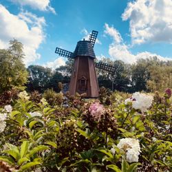 Linton's Enchanted Gardens - Garden