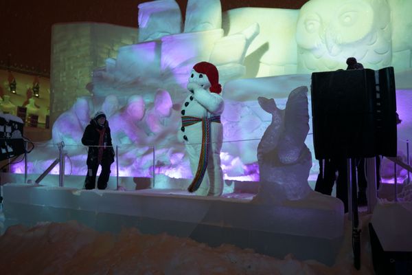 Carnaval de Québec by null